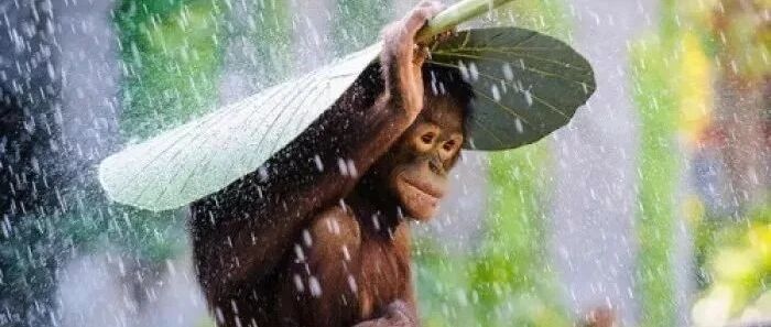 管理者如何避免自己忙死，员工闲死？