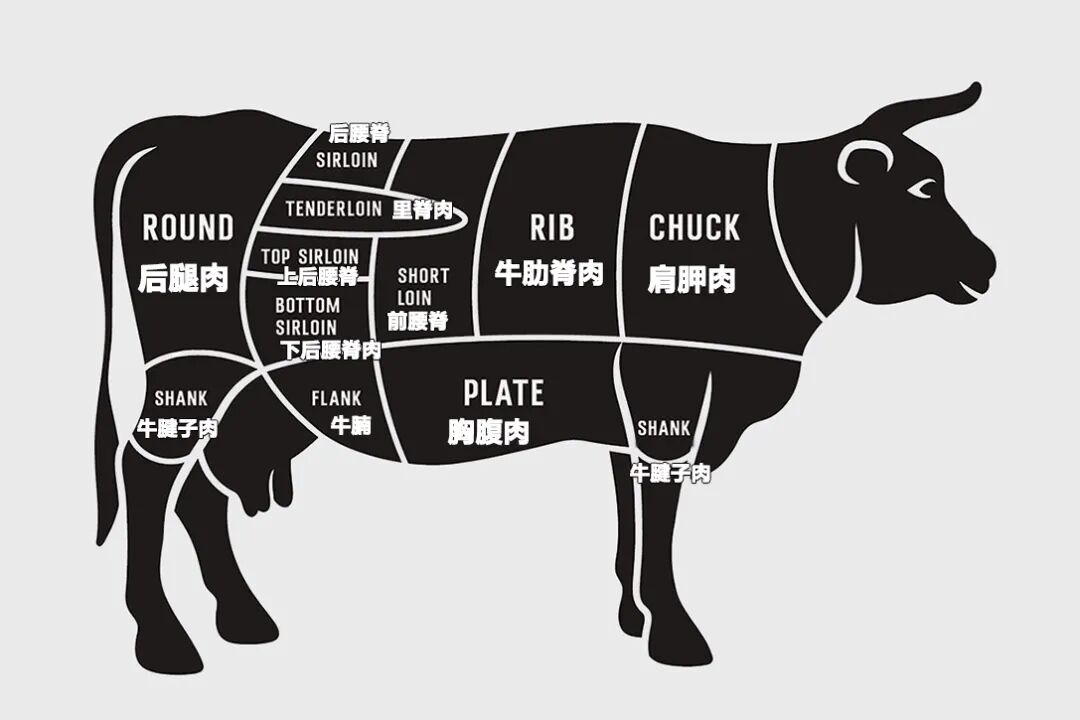 英语 牛年吃块牛排吧 战斧牛排五分熟 用英语怎么说 有道词典 微信公众号文章阅读 Wemp