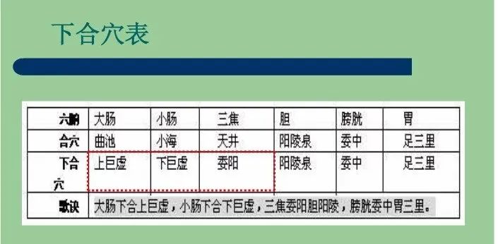 跟着彩云学习穴位：6个下合穴