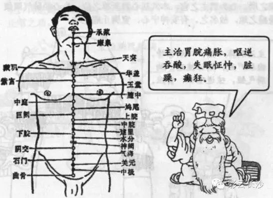 经典穴位图画版：任脉
