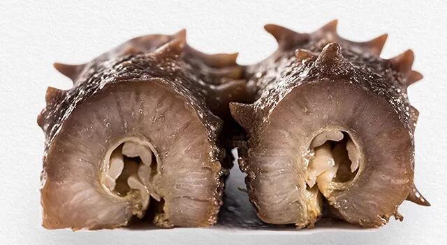 冬日话海参：“补冬”从吃海参开始