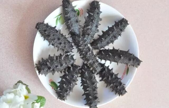 关于吃海参，你需要了解这些