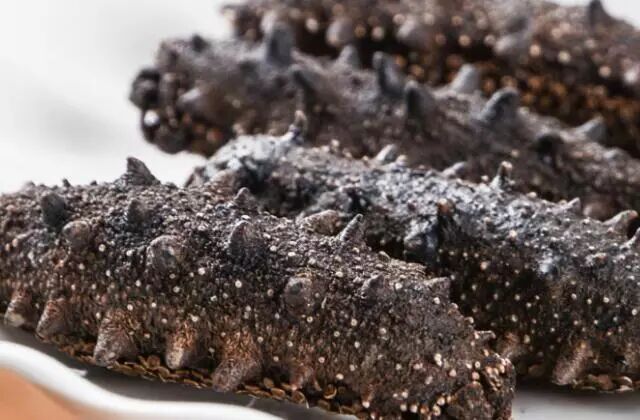 海参怎么吃才对？吃海参要注意的几件事