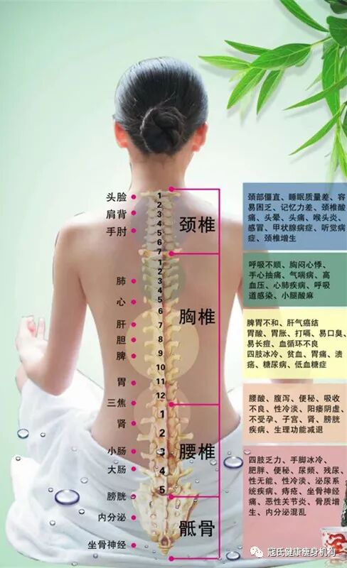 养生要注意细节 背部保健你重视了吗 自由微信 Freewechat