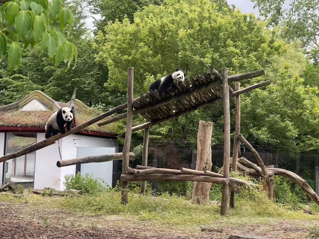 司法部：堅決遏制趨利性執(zhí)法