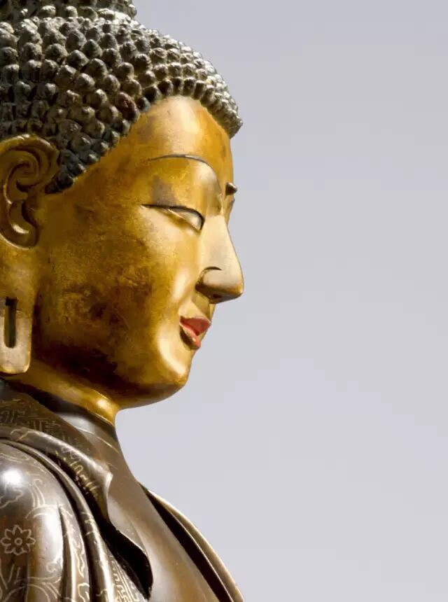 尊像头饰螺髪,排列规整,肉髻圆隆高凸,顶饰摩尼宝珠,额头扁平,面颊