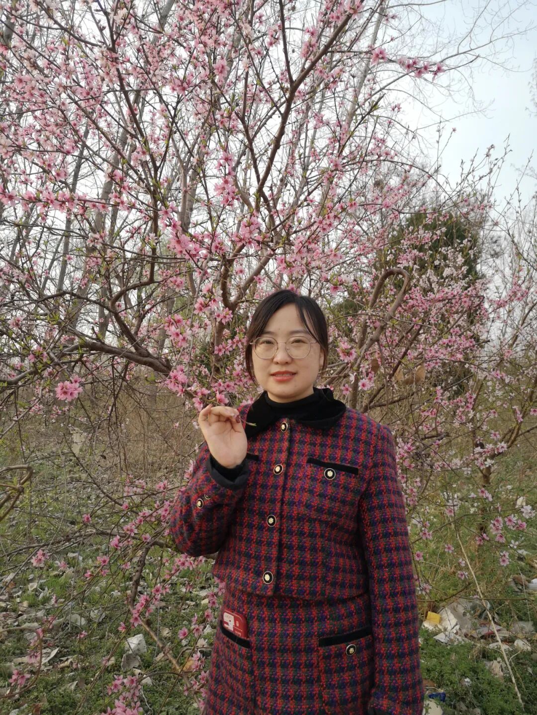 图片