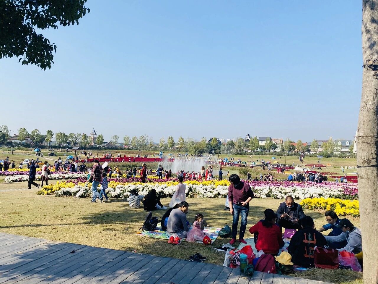 【共舞长江经济带·看高质量发展】武汉花博汇：昔日小村庄“变身”特色文旅小镇