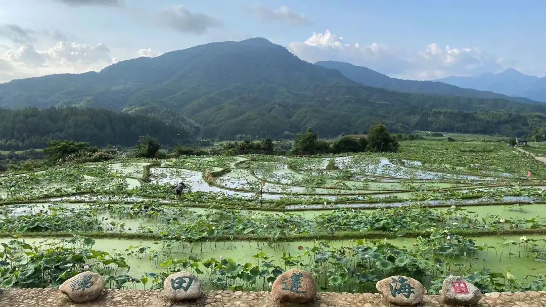 【网络媒体革命老区行】5G牧场、梯田莲海、玉石民宿,老区建宁建设“向往的生活”-微信头条网 【网络媒体革命老区行】5G牧场、梯田莲海、玉石民宿,老区建宁建设“向往的生活”