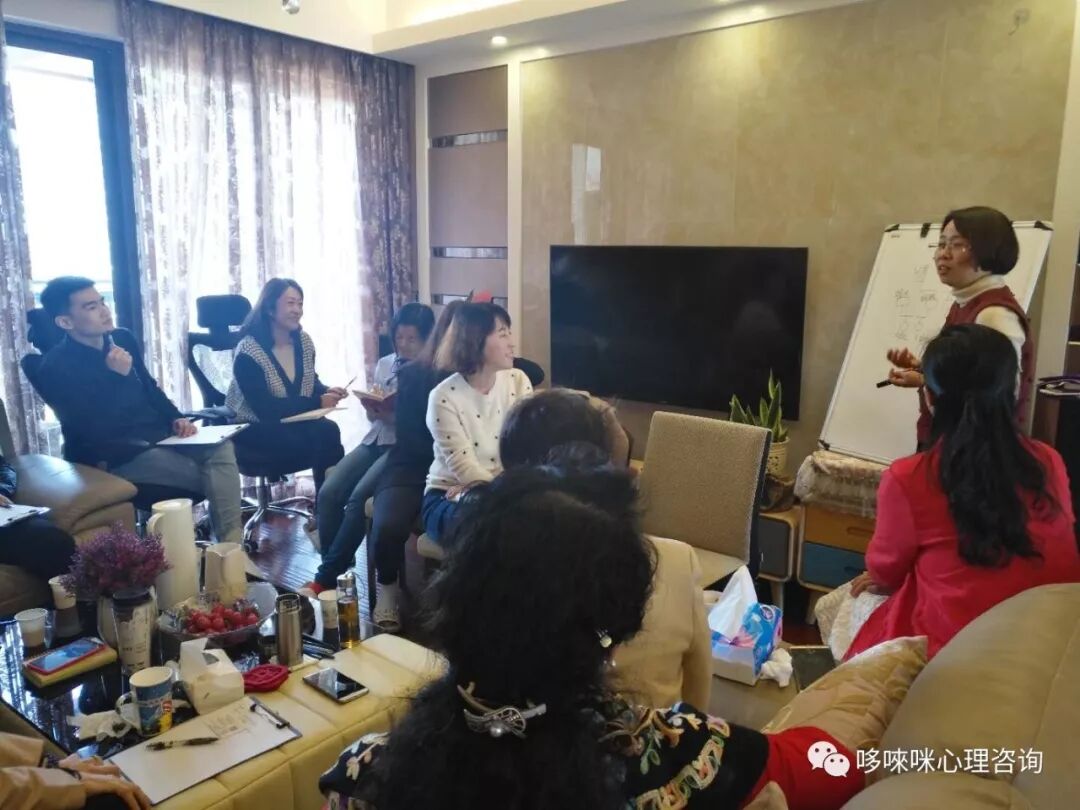 精神动力取向的家庭治疗实操班