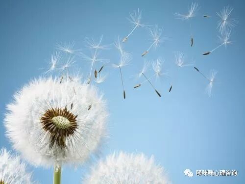 母婴关系可以治愈一切的不安全感