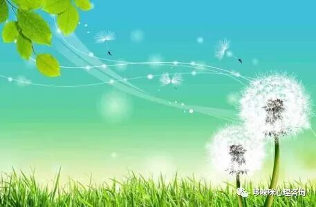 母婴关系可以治愈一切的不安全感