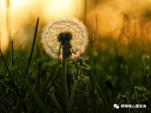 母婴关系可以治愈一切的不安全感