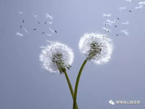 母婴关系可以治愈一切的不安全感