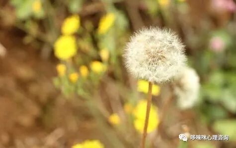 母婴关系可以治愈一切的不安全感