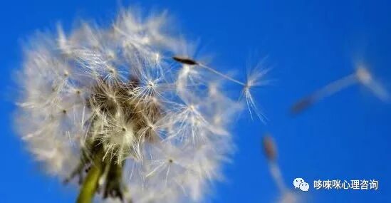 母婴关系可以治愈一切的不安全感