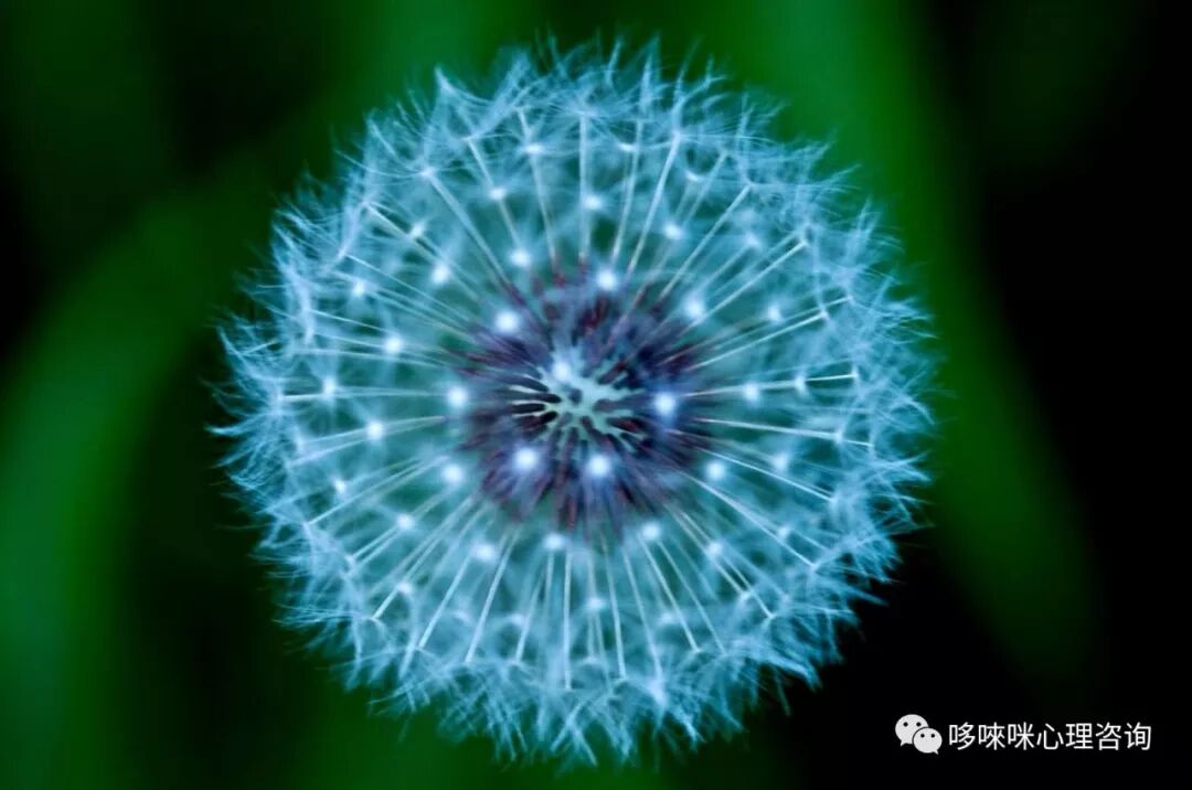 母婴关系可以治愈一切的不安全感