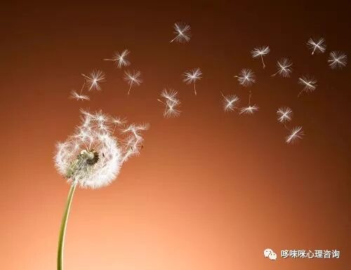 母婴关系可以治愈一切的不安全感