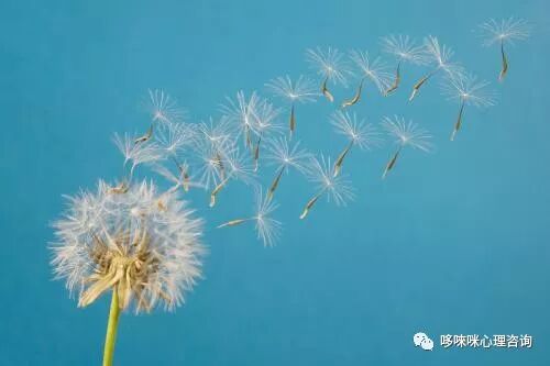 母婴关系可以治愈一切的不安全感