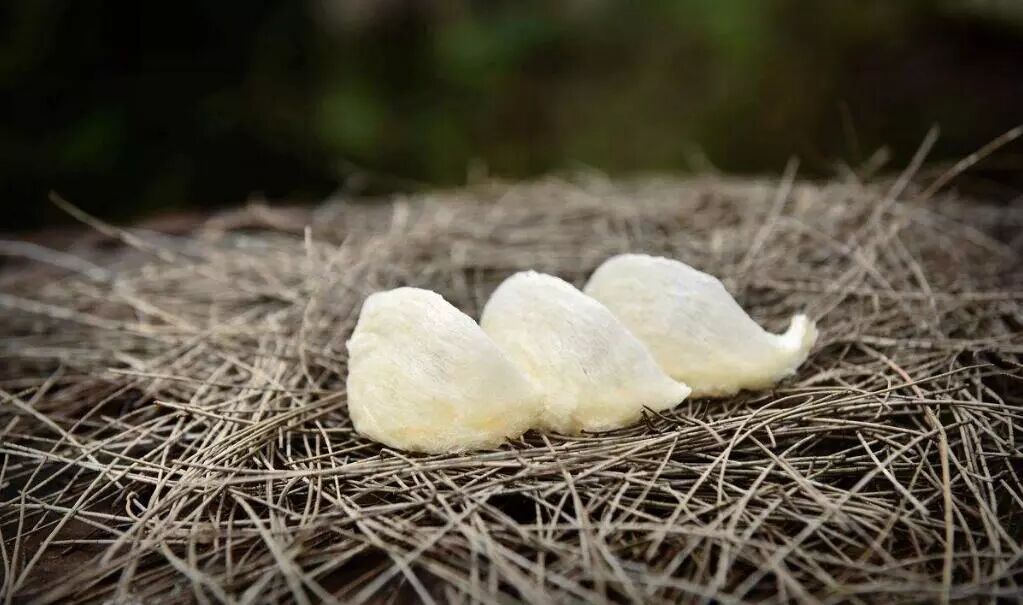 燕窝，真的好，你吃不吃？