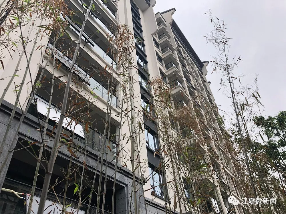 【转载】实感来了!全球首个军运村,今天在江夏竣工验收啦! 【转载】实感来了!全球首个军运村,今天在江夏竣工验收啦!
