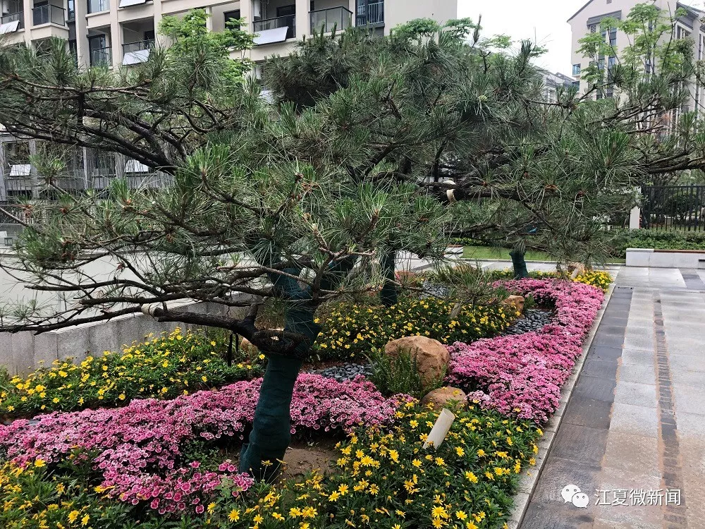 【轉(zhuǎn)載】實感來了!全球首個軍運村,今天在江夏竣工驗收啦! 【轉(zhuǎn)載】實感來了!全球首個軍運村,今天在江夏竣工驗收啦!