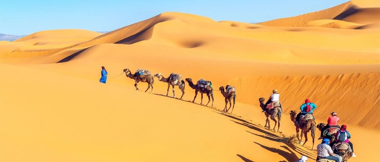 埃及，72小时核酸证明换一次新年之旅！