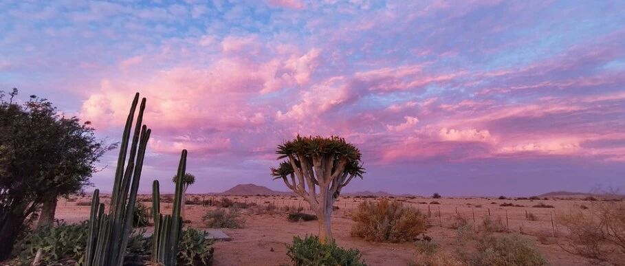 纳米比亚的九宗 “最”