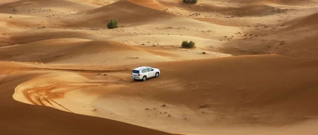 20220222，叮，你有新的壁纸请查收！