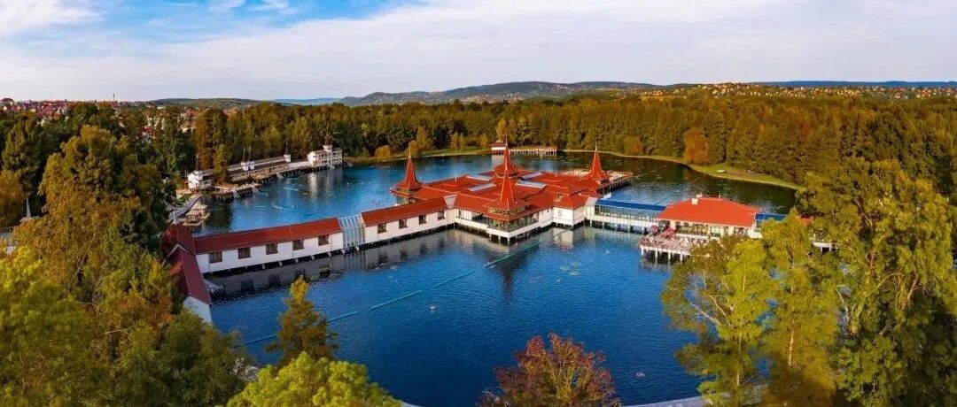 调和身心、见证奇迹的黑维兹