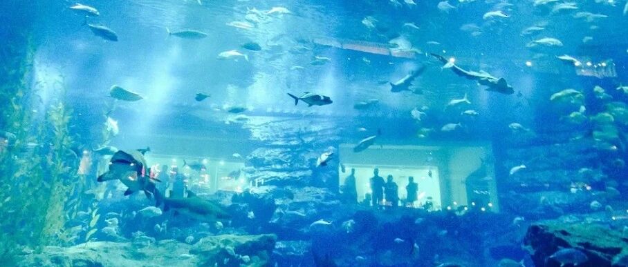 迪拜5天4晚亲子游95折抢购中