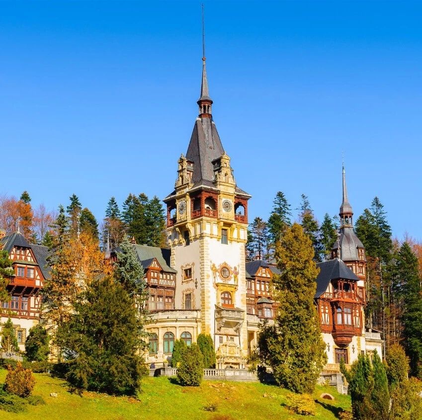 回顾这些旅行的理由，哪一句戳中你？