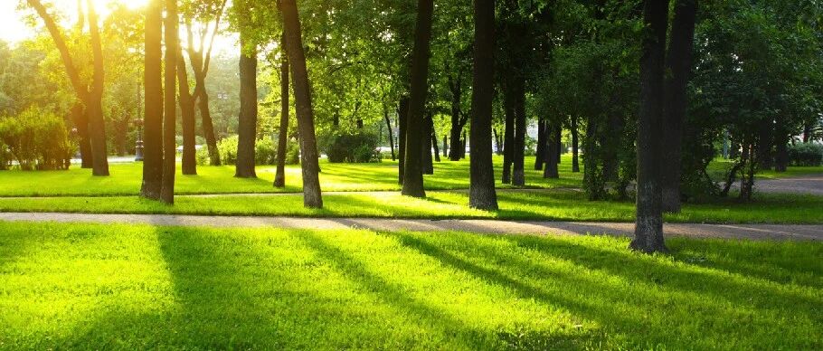 自由行走权:每一处土地的美好都属于你