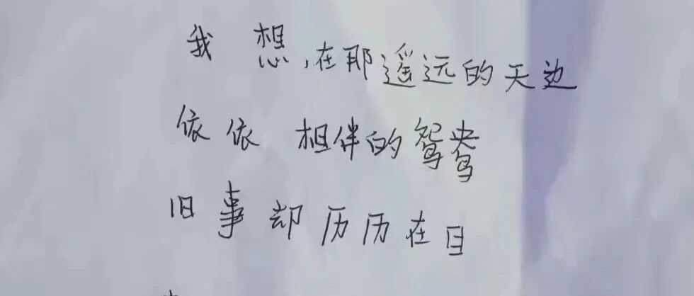 杭州一男生写“藏头诗”表白女同学，班主任竟分两头支招！​“绝绝子”了......