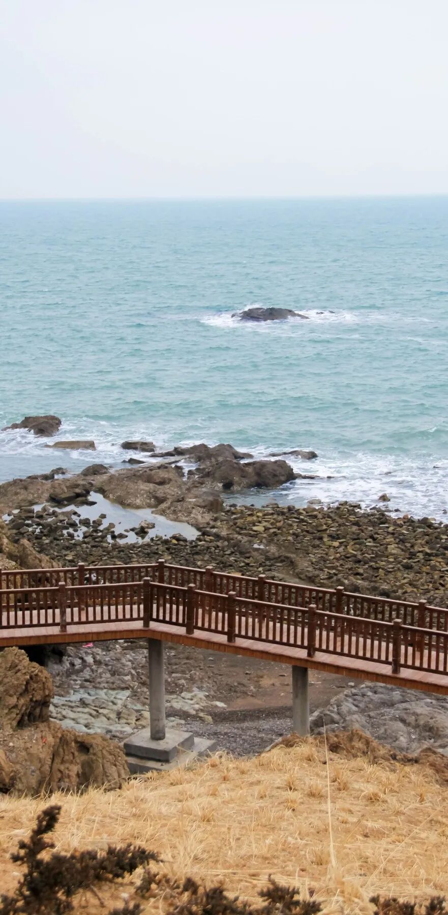 颜值爆表山东这几条海滨大道一半绿意盎然一半海景如画超适合踏青