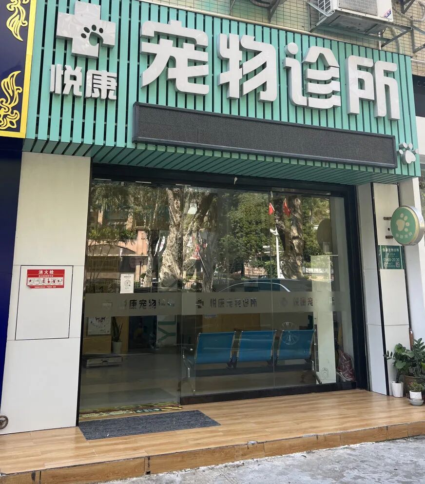 珠海急诊宠物医院名录插图6