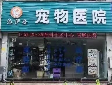 珠海急诊宠物医院名录插图4