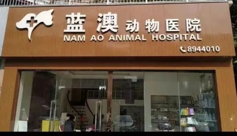 珠海急诊宠物医院名录插图5