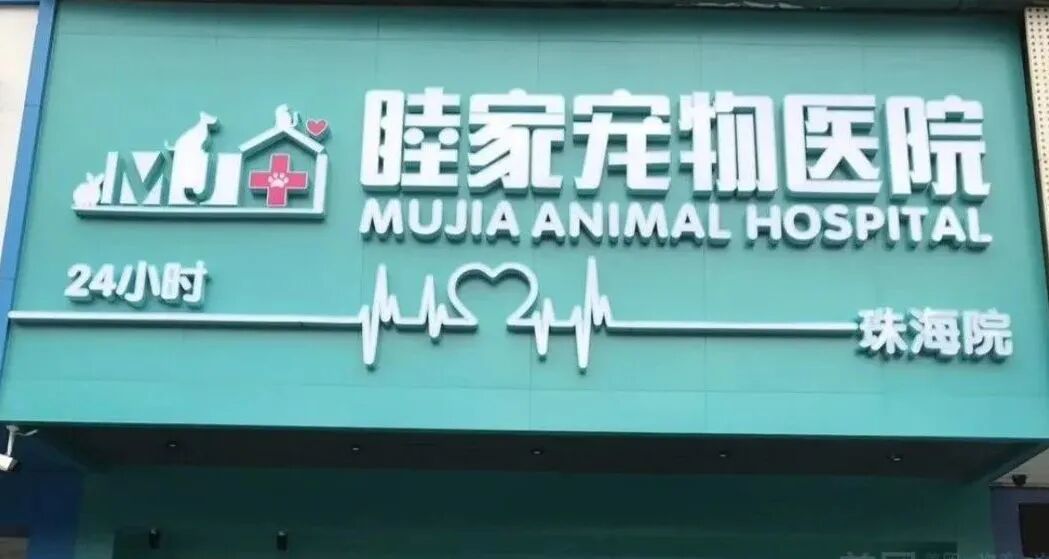 珠海急诊宠物医院名录插图3