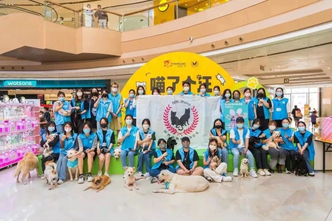 再少亿点点|珠海五月公益绝育计划插图9