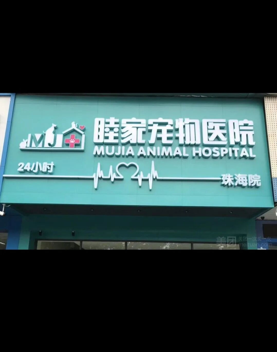 再少亿点点|珠海五月公益绝育计划插图10