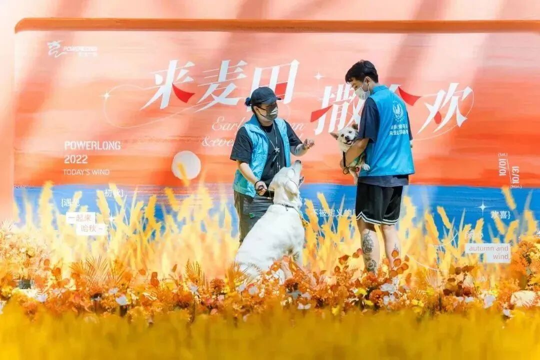 再少亿点点|珠海五月公益绝育计划插图6