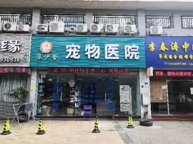 再少亿点点|珠海五月公益绝育计划插图14