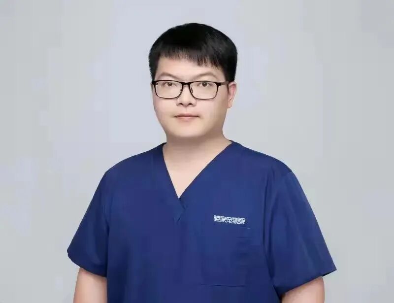 再少亿点点|珠海五月公益绝育计划插图12