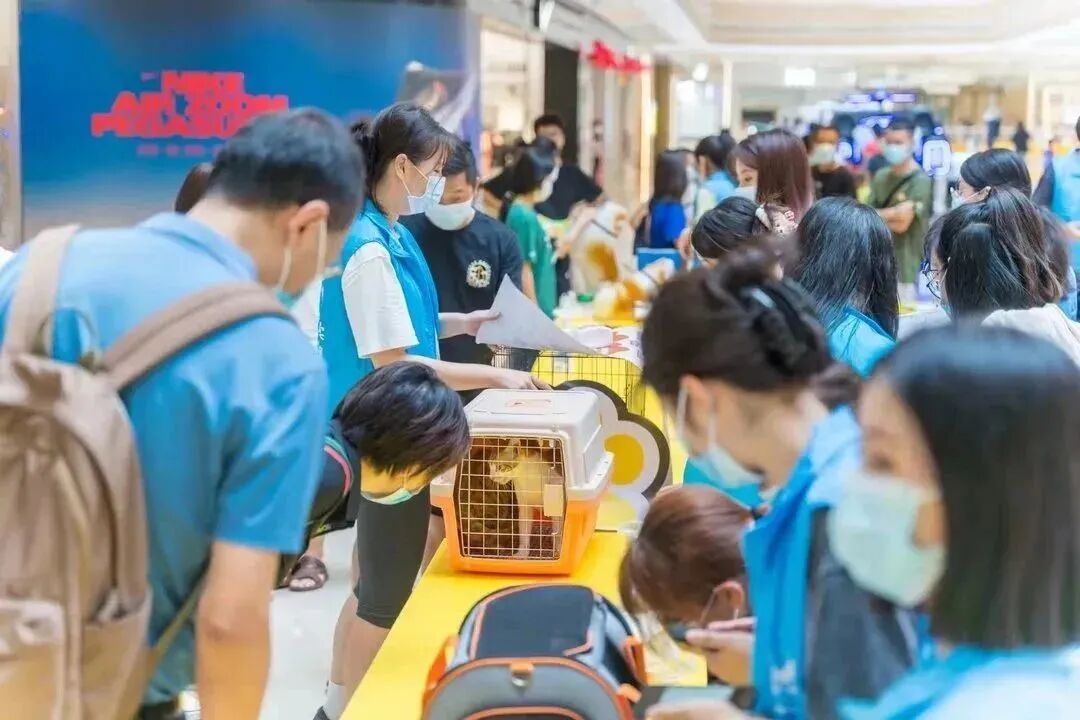 再少亿点点|珠海五月公益绝育计划插图7