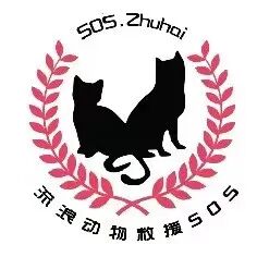 珠海急诊宠物医院名录插图7
