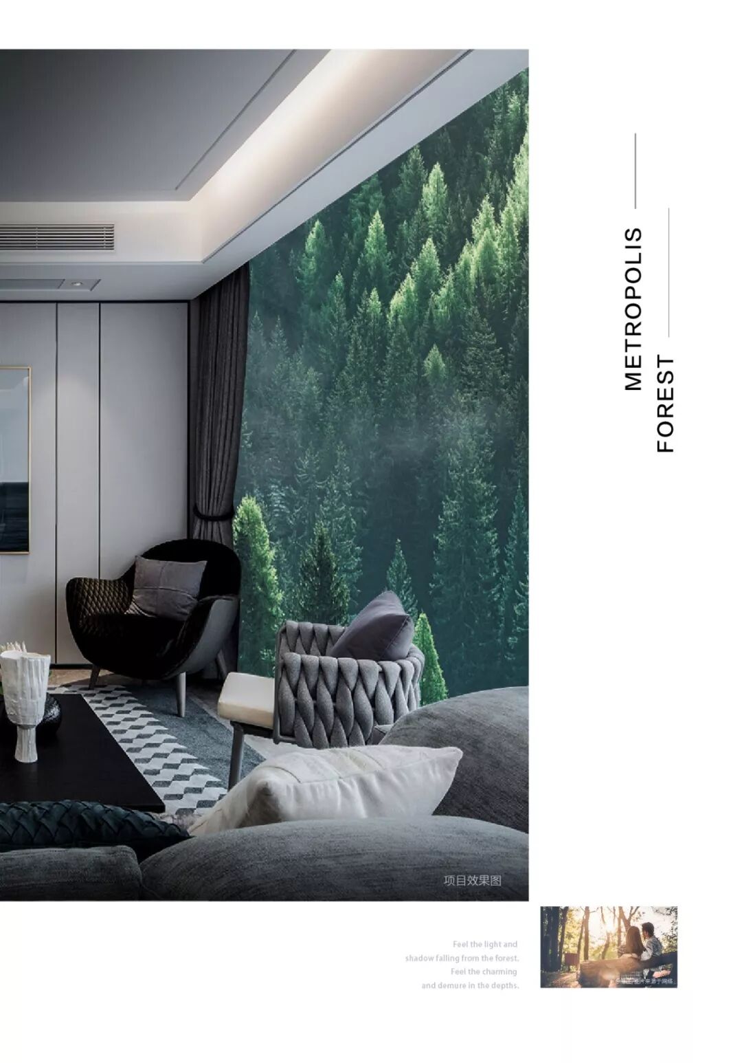 到森林去，生活原来美成这样……