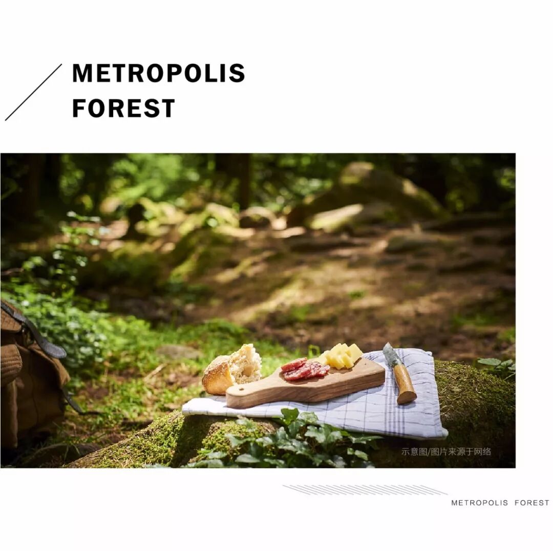 到森林去，生活原来美成这样……