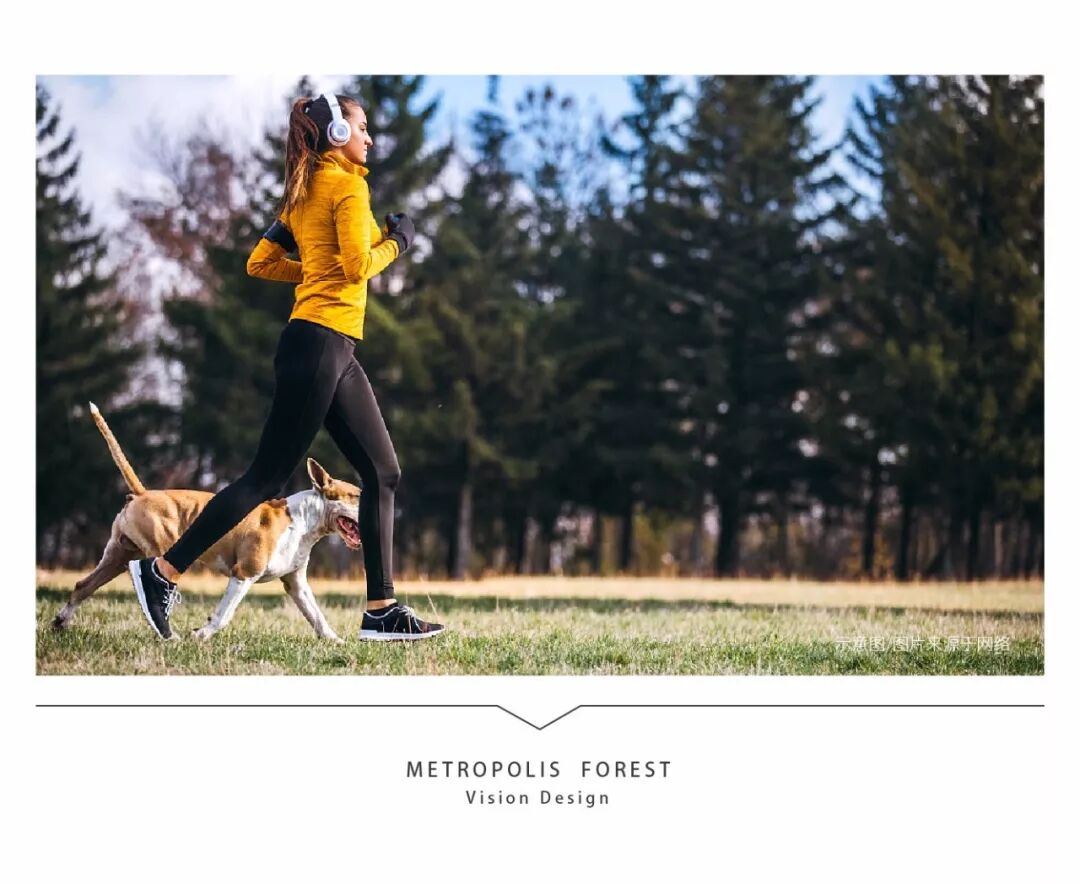 到森林去，生活原来美成这样……