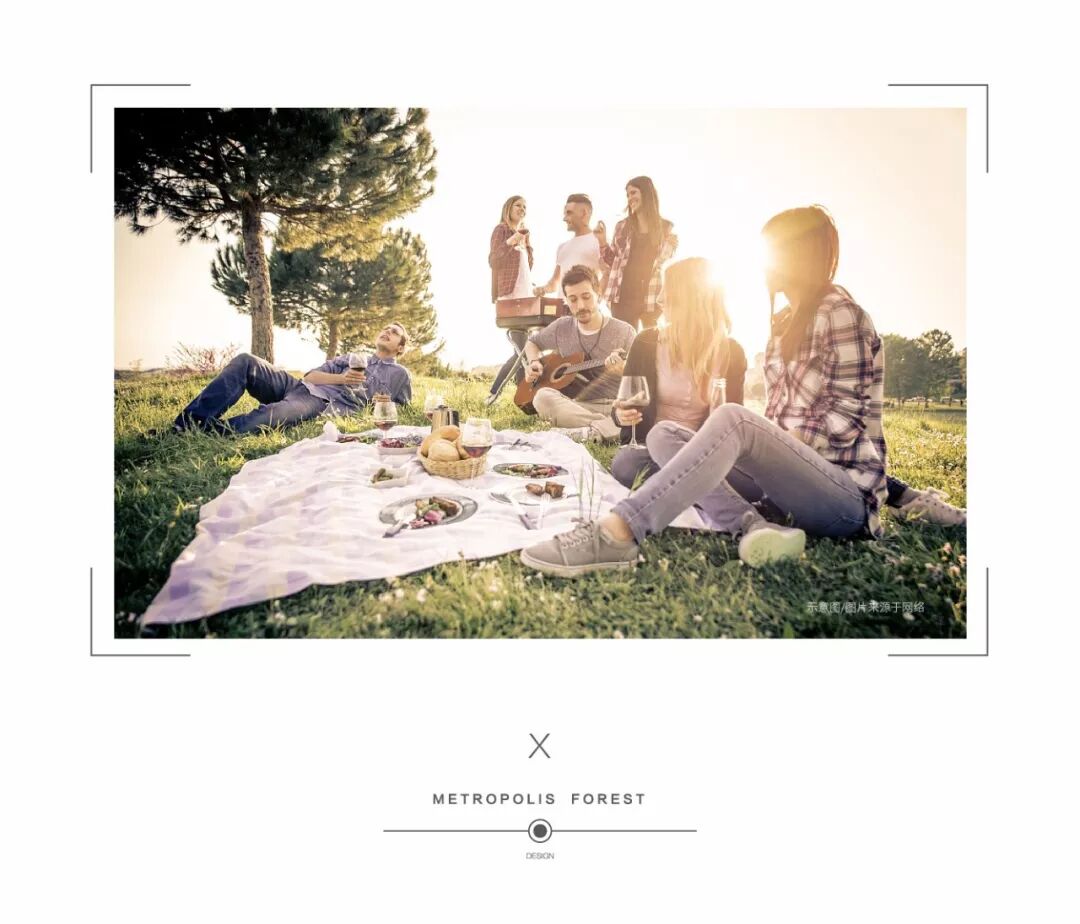 到森林去，生活原来美成这样……